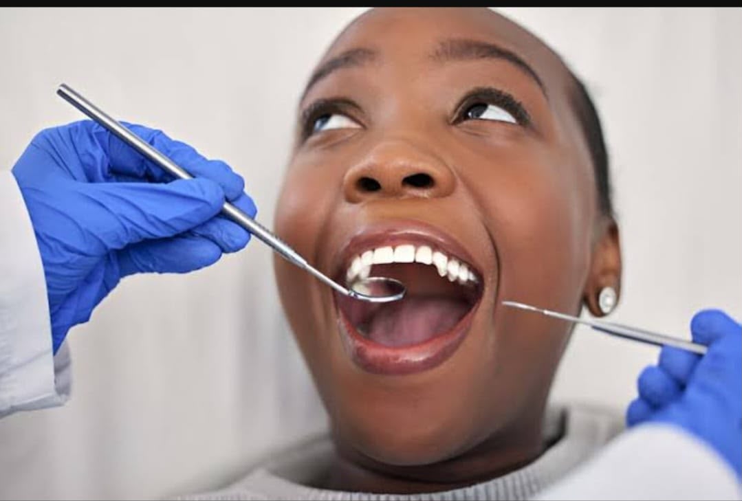Dental consultation at Elis Dental Clinic